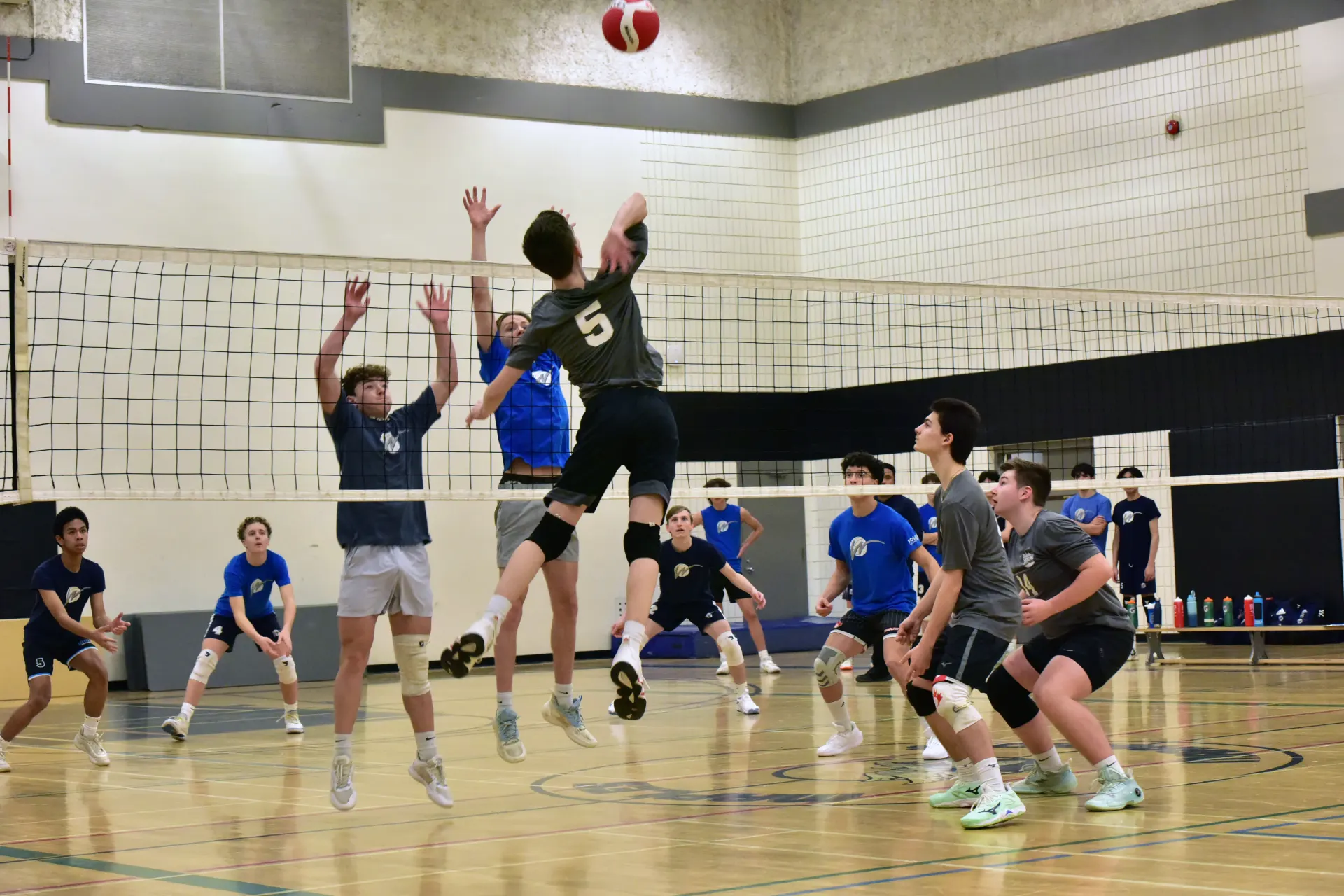 Sky Volleyball athletes celebrating at the net